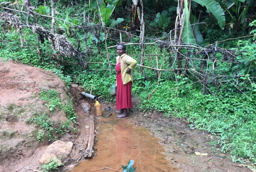 Clean Water Project in Aleta Wondo, Ethiopia!